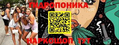a pvp Обь