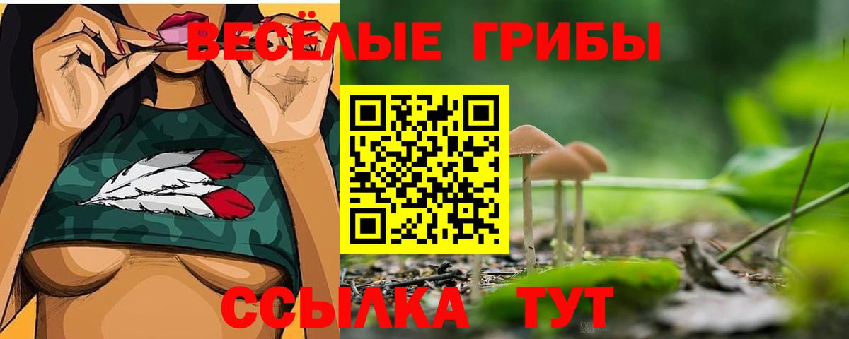 Новоуральск  Псилоцибиновые грибы Psilocybe  Вход с VPN 